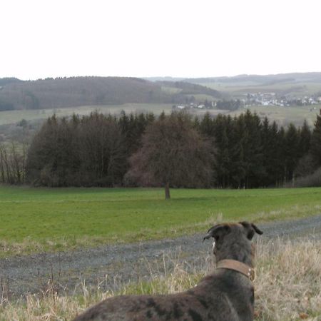Funny-Farm Villa Sassen Buitenkant foto