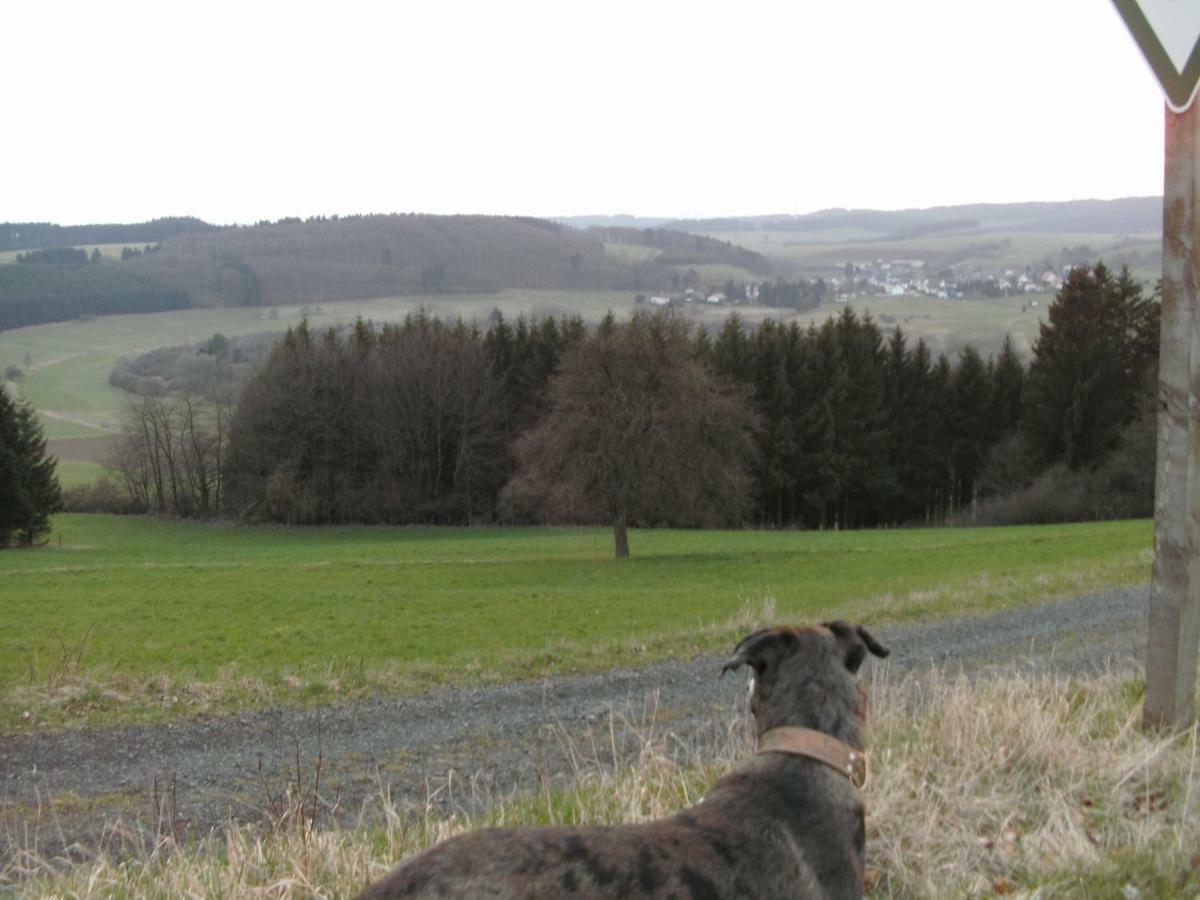Funny-Farm Villa Sassen Buitenkant foto