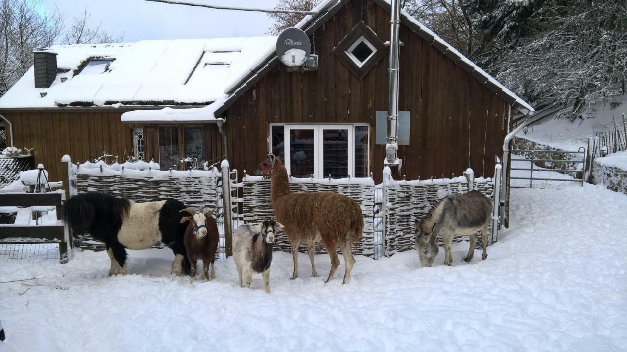 Funny-Farm Villa Sassen Buitenkant foto
