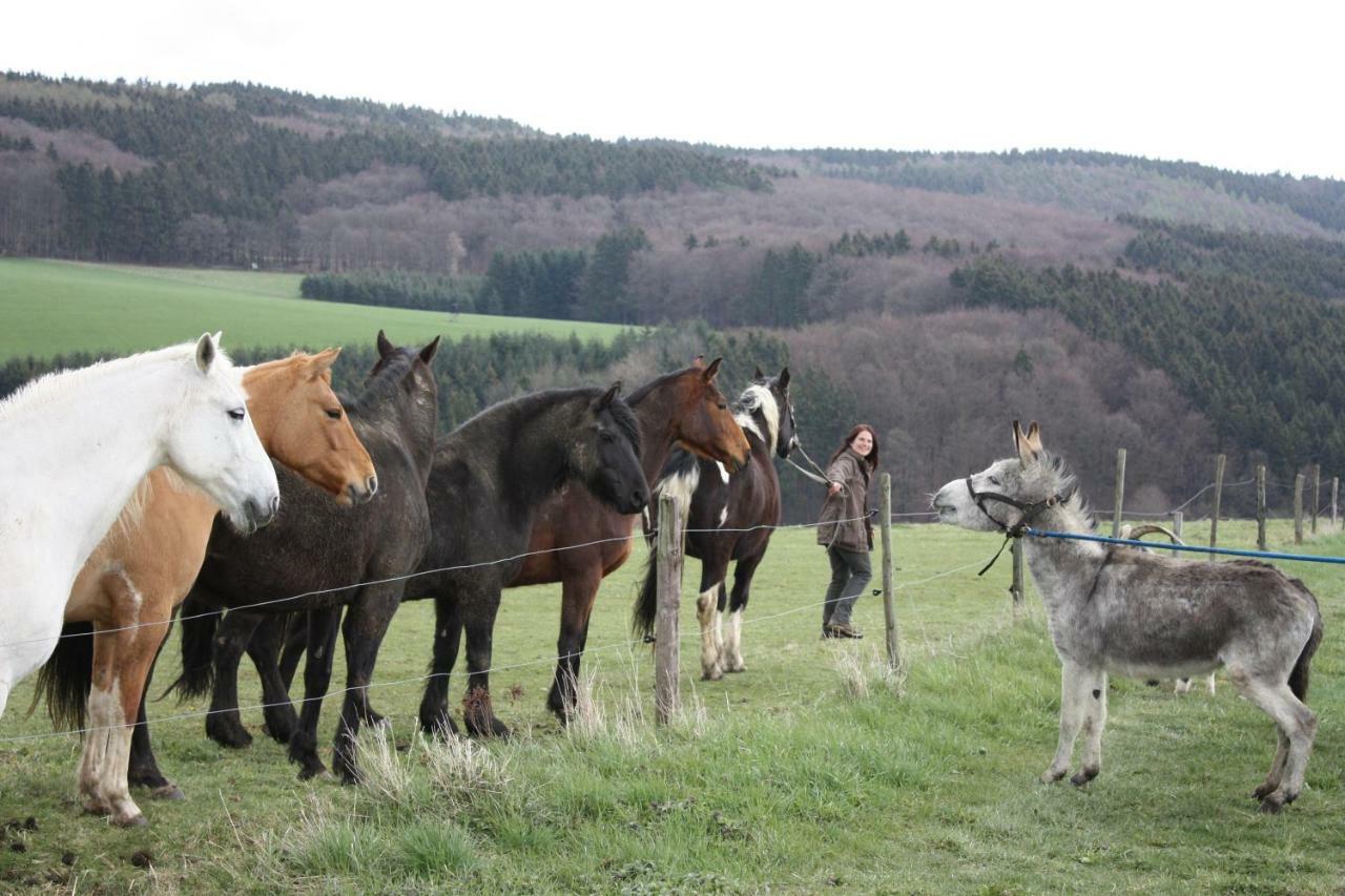 Funny-Farm Villa Sassen Buitenkant foto