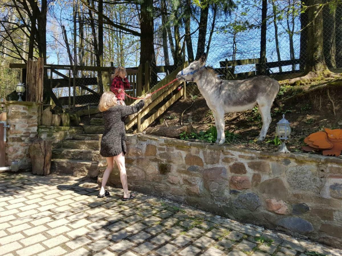Funny-Farm Villa Sassen Buitenkant foto