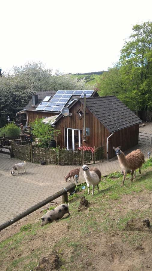Funny-Farm Villa Sassen Buitenkant foto